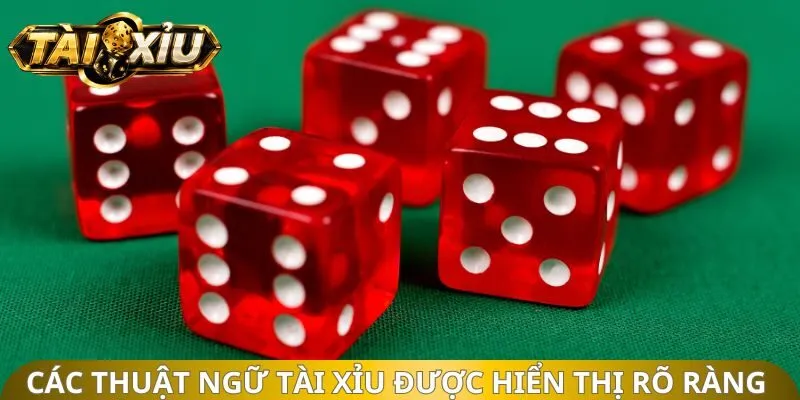 Các thuật ngữ Tài Xỉu được hiển thị rõ ràng 