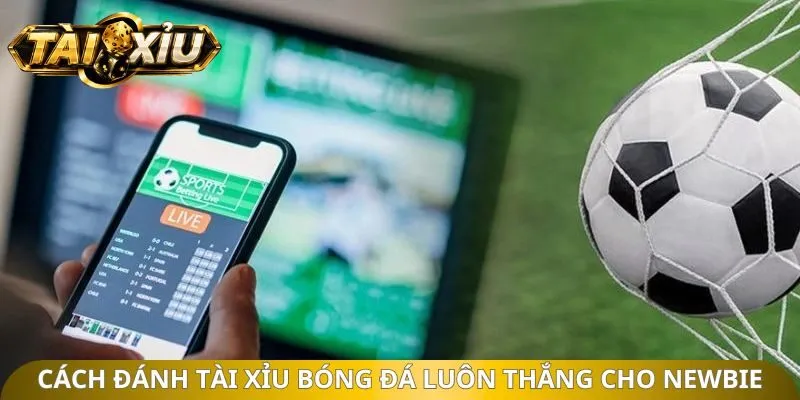 Cách đánh tài xỉu bóng đá luôn thắng cho newbie