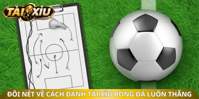 Đôi nét về cách đánh tài xỉu bóng đá luôn thắng