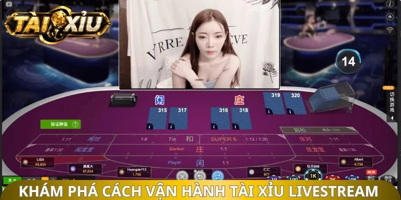 Khám phá cách vận hành tài xỉu livestream hiện đại 