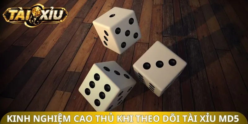 Kinh nghiệm cao thủ khi theo dõi Tài Xỉu MD5 