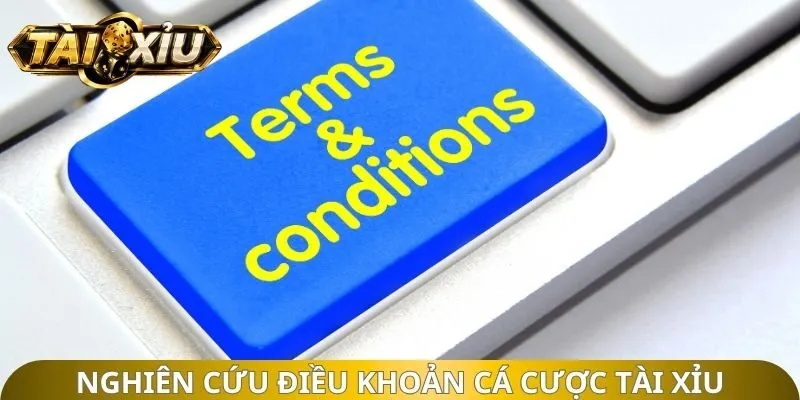 Nghiên cứu thông tin của Website tài xỉu